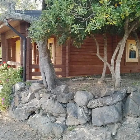 Lo Di Ingrid